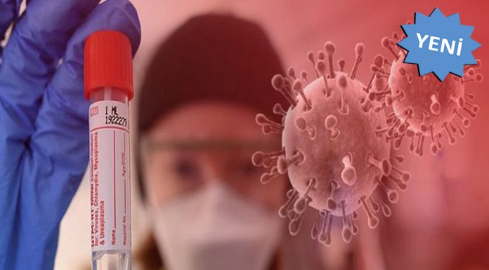 Milyonlarca insanı öldürmüştü. Katil virüs, kanser hastalıkları tedavisinde umut oldu