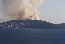 Oğuz HAKSEVER yazdı: Heybeliada Yangını, Ağaçlar ve Kentler