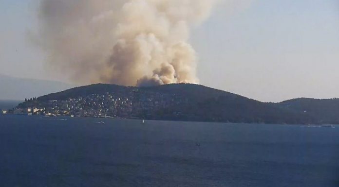 Oğuz HAKSEVER yazdı: Heybeliada Yangını, Ağaçlar ve Kentler