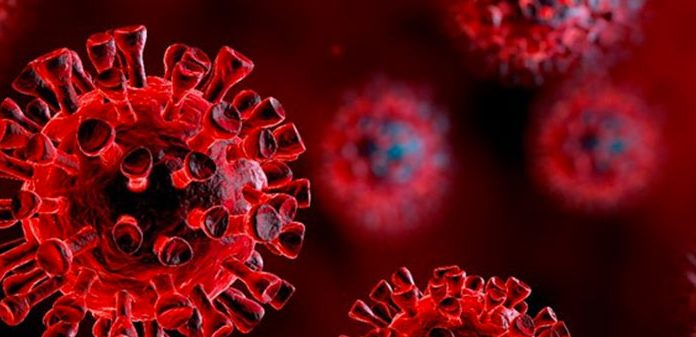 Sedat ÜRETEN Yazdı: Koronayı yendim