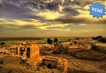 Prof. Dr. Olcay Bige AŞKUN yazdı: İlk’ler – Bölüm 2