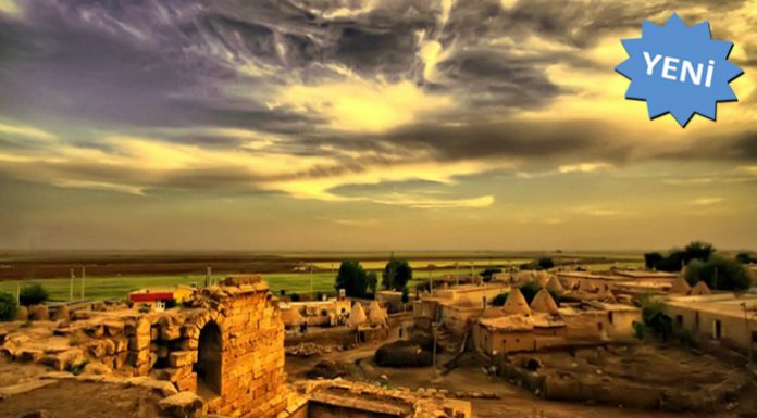 Prof. Dr. Olcay Bige AŞKUN yazdı: İlk’ler – Bölüm 2