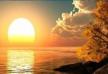 Prof. Dr. Olcay Bige AŞKUN yazdı: Ütopya