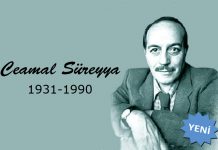 Metin CENGİZ yazdı: Cemal Süreya Anması