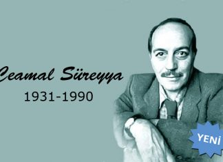 Metin CENGİZ yazdı: Cemal Süreya Anması