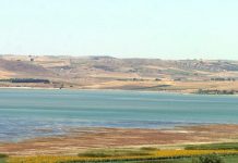 Cengiz ERDİL yazdı: Büyükçekmece Gölü’nün Haline Çok Mu Şaşırdınız?