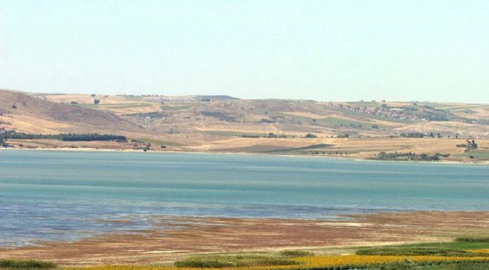 Cengiz ERDİL yazdı: Büyükçekmece Gölü’nün Haline Çok Mu Şaşırdınız?