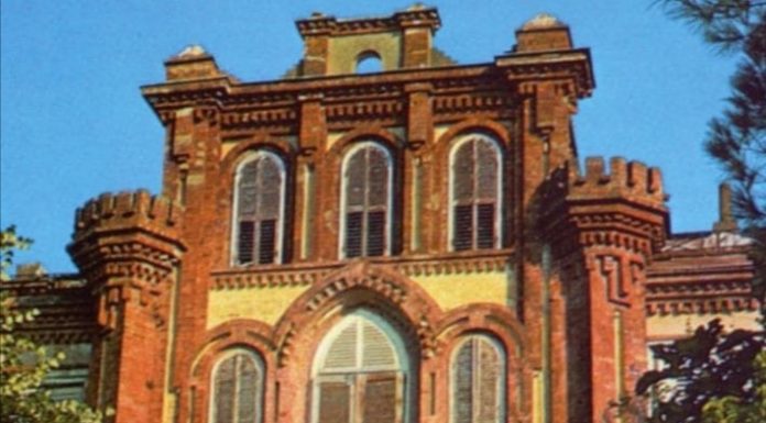 Cengiz ERDİL ‘TROÇKİ VE İSTANBUL’