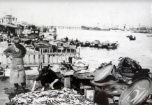 Cengiz ERDİL ‘İSTANBUL VE BALIK’