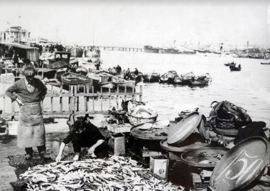 Cengiz ERDİL ‘İSTANBUL VE BALIK’