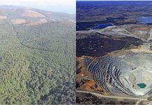 Cengiz ERDİL ‘VAHŞİ KAPİTALİZM KUZEY EGE’DE COŞTU!’