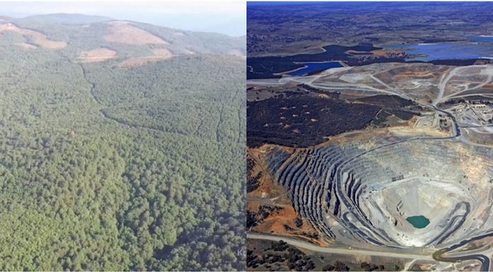 Cengiz ERDİL ‘VAHŞİ KAPİTALİZM KUZEY EGE’DE COŞTU!’