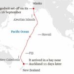 11_gun_boyunca_araliksiz_ucan_kus_dunya_rekoru_kirdi_h4190_fe7d2