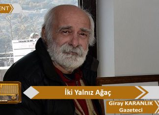 İki Yalnız Ağaç