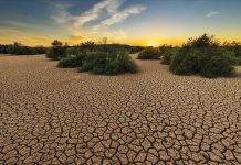 Türkiye’de Kuraklık Alarmı! Meteoroloji’den Korkutan Veriler