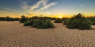 Bilim insanları uyardı; İklim değişikliği nedeniyle sıcaklıklar, insanları yaşayamayacağı kadar yüksek olacak