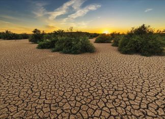 Türkiye’de Kuraklık Alarmı! Meteoroloji’den Korkutan Veriler