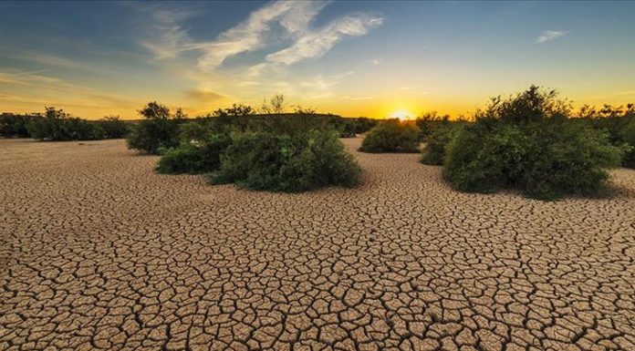 Türkiye’de Kuraklık Alarmı! Meteoroloji’den Korkutan Veriler