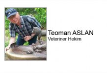 Kedi ve Köpeklerde Kışa Hazırlık