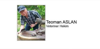 Kedi ve Köpeklerde Deri Sorunları