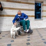 trabzon_da_sahibi_tedavi_goren_kopek_5_gundur_hastane_kapisinda_bekliyor_h833320_575f2