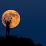 _117337670_95e84d18-c408-47fb-a129-d6ad00c6f34e