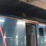 _117372980_t0flmti5mjuzndqz