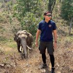 40486712-9363135-The_doctor_right_beckoned_to_Plai_Thang_who_reached_his_trunk_ou-a-144_1615805320700