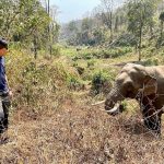 40486720-9363135-Earlier_this_month_Doctor_Pattarapol_left_was_patrolling_the_are-a-142_1615805320593