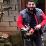 anne-diye-bagiran-horoz-kesilmekten-son-anda-14058815_6519_osd