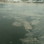 03052021-Deniz-Salyasi-(3)