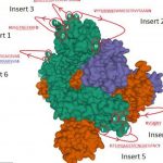 Screenshot_20210529_140559