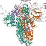 Screenshot_20210529_140608