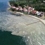 deniz-salyasi-aa-1578652_2