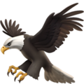 eagle_1f985
