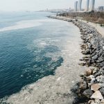 marmara-denizi-ndeki-goruntunun-sebebi-deniz-salyasi-853334-5