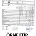yurt-disi-egitim-1956672013