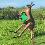 36794876-9049035-image-m-4_1607890585305