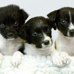 4c77febc-8093-11e8-a645-f0478472c67b