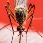 5ffeb152c9de3d15a83f112a