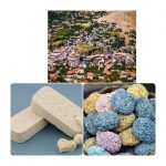 InShot_20210621_181243180