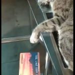 Screenshot_20210603_135906