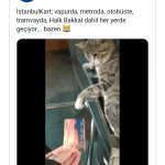 Screenshot_20210603_135926