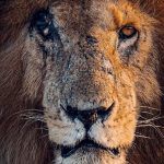 Screenshot_20210618_122200