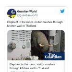 Screenshot_20210621_155303_com.android.chrome