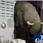 Screenshot_20210621_155321