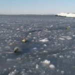 Videoframe_20210604_094225_com.huawei.himovie.overseas