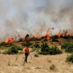 bingol-de-cikan-orman-yangini-buyumeden-sondu-14195755_osd