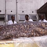 cd91f1440717c98d0dfc058603512756