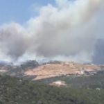 kas-ta-orman-yangini-2-14227252_o